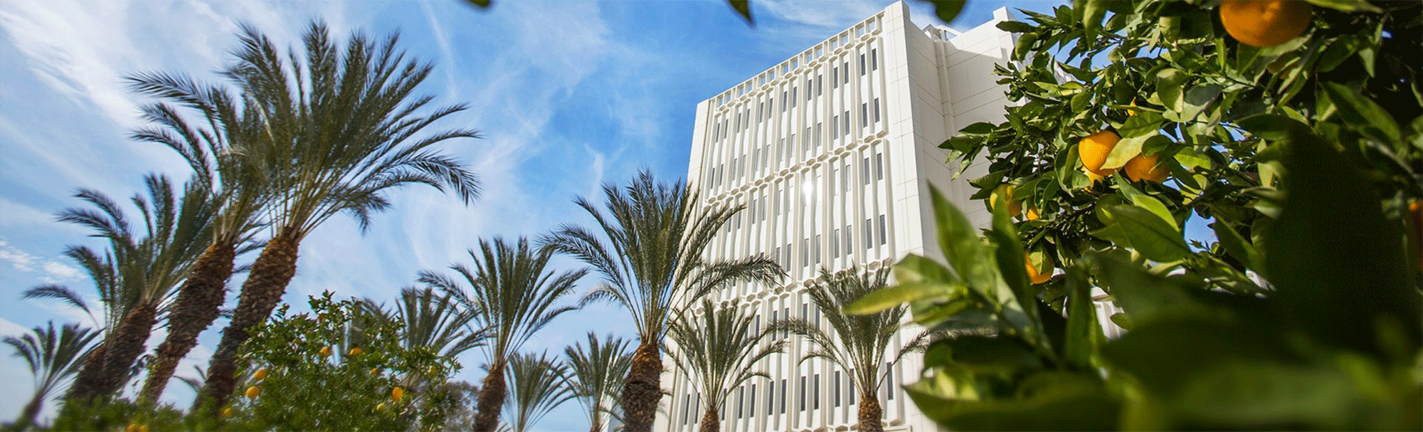 Educational Technology Interactive Magazine Educational Technology CSUF educational-technology-interactive-magazine-educational-technology-csuf